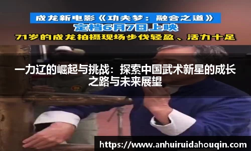 一力辽的崛起与挑战:探索中国武术新星的成长之路与未来展望